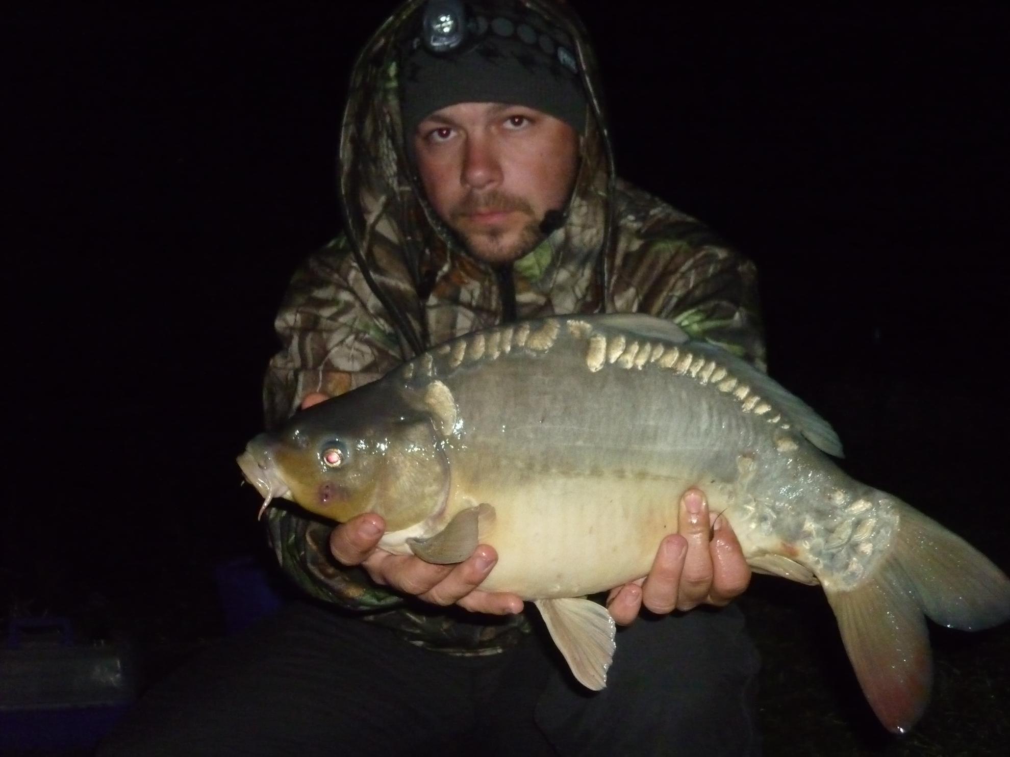 Stejeris 2011 - p1010987.JPG